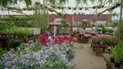 Interior View of Local Horticulture Supply Store, Flower Shop Business