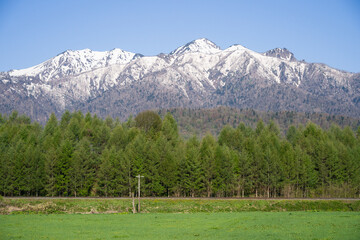 Fototapeta na wymiar 根室本線から見る芦別岳　芦別山