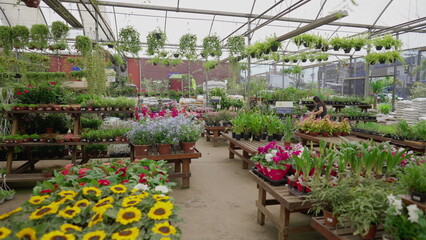 Interior of horticulture store supply flower shop local business