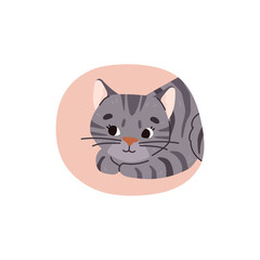 Cute kitten on color backdrop for stickers and prints, flat vector isolated.