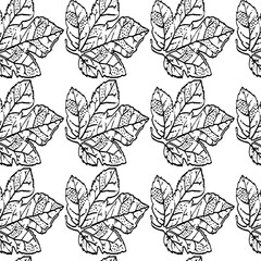 Floral pattern hand drawn on a white background