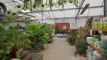 Horticulture Flower Shop Interior, Display of Plants and Flowers in Local Gardening Business Store