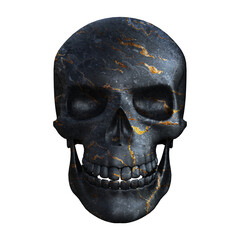 Human skull isolated. Without background. PNG. Skeleton. 3