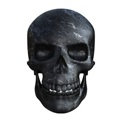 Human skull isolated. Without background. PNG. Skeleton. 1
