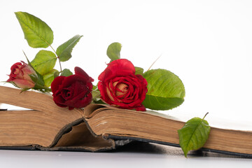 greeting card depicting an old book and a bouquet of red roses, exquisite flowers, and a book