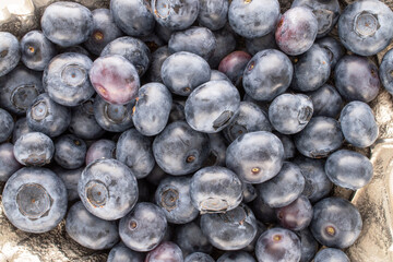 A few berries of ripe blueberries, macro, top view.