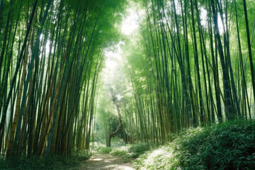Peaceful Bamboo Forest With Tall, Swaying Stalks. Generative AI