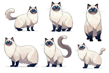 Set Ragdoll Cat, Minimalist Style, White Background Cartoonish, Flat Illustration.. Generative AI