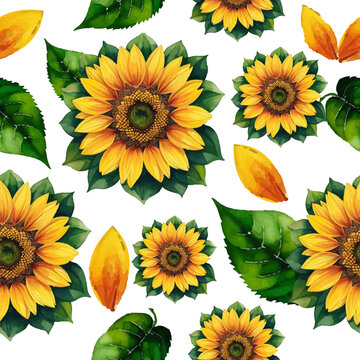 Vector seamless pattern with sunflowers in a watercolor style on a white plain background.
