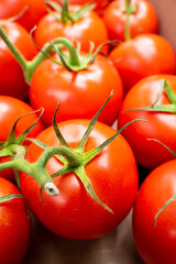 Fresh on the vine tomatoes in a box. The tomatoes are still clinging to green vines, indicating that they are still fresh after harvesting. A good option for preparing fresh meals, drinks, and snacks.
