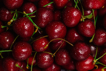 cherry close-up. cherry macro