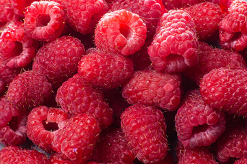 ripe raspberries close-up. raspberry macro background