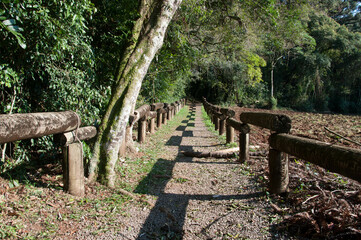 wooden path in the park