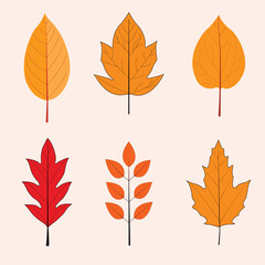 vector flat autumn forest and hand drawn autumn leaves collection.