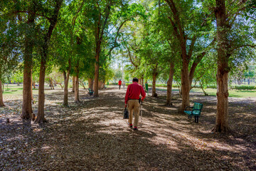 adulto mayor caminando por el sendero del parque entre arboles 