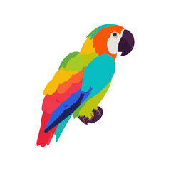 Colorful bird parrot vector illustration
