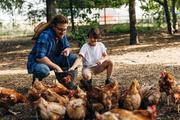 Son and father are giving some food to te chickens from the bucket. © cherryandbees