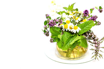 Cup of tea isolated on white. herbal tea. health concept, chamomile, mint, jasmine, motherwort, thyme, mountain herbs.
