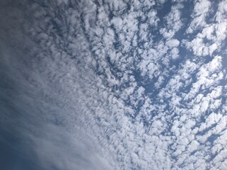 Altocumulus in the morning