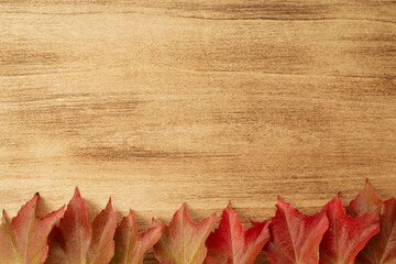 Thanksgiving background with autumn leaves on wooden old background with copy space, top view