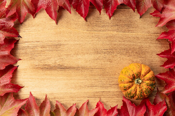 Thanksgiving day banner with pumpkins and autumn leaves with copy space, top view