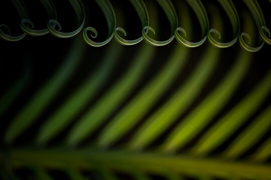 abstract green background