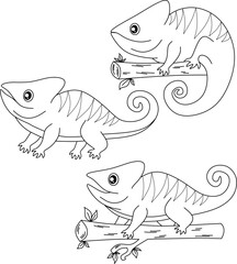 Cameleon line art vector for coloring book page.