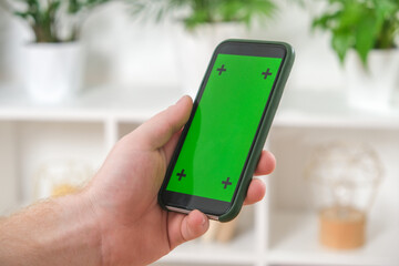 A man holds a phone with a green screen in his hands against a background of green house plants. Mockup. Chromakey.