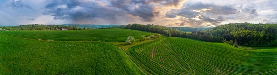 Panorama of the fields with green plants and fruit trees against the backdrop of a sunset sky