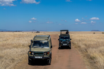 Obraz na płótnie Canvas Savannah landscape in Serengeti National Park