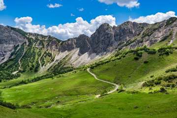 Curved hiking trail in green alpine grass landscape, Tannheimer Tal, Austria