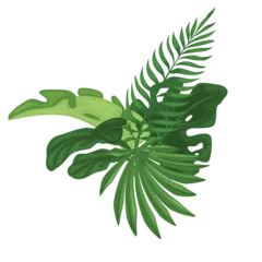 Stickers pour porte Monstera Green tropical leaves.
