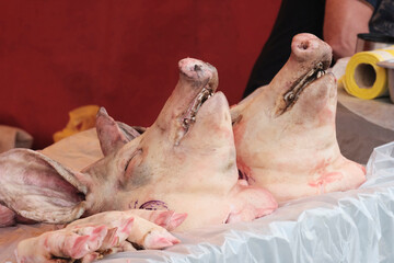 A severed pig's head on a market stall. Pork, meat for sale concept