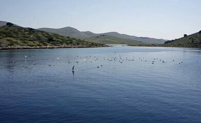 green landscape on the kornati islands