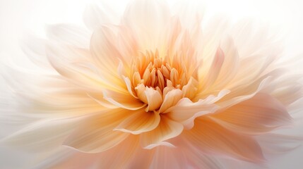 Dahlia petals macro. Chrysanthemum flower head. Floral abstract background. Generative AI. Illustration for banner, poster, cover, brochure or presentation.