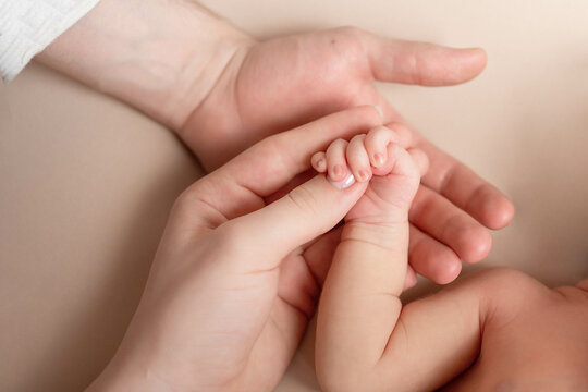 newborn baby holds mom's finger. hand of a newborn baby in the hands of parents