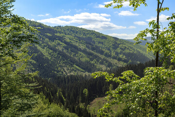 Fototapeta na wymiar Panorama view from Lomna Dolna, Czech Republic
