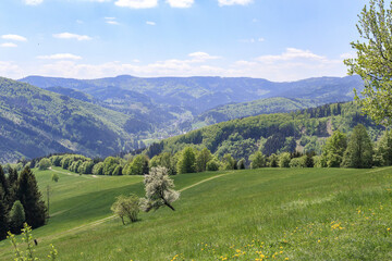 Panorama view from Lomna Dolna, Czech Republic.