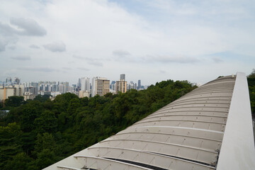 Singapore view from bridge 