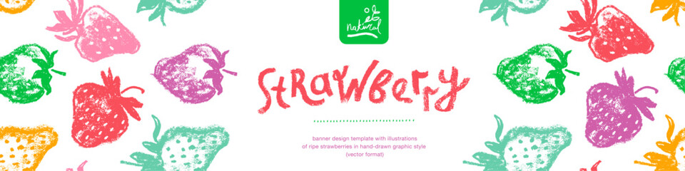 Banner design template with hand drawn illustrations of ripe strawberries vector. Strawberry pattern seamless. Red berries for vegan banner, juice, jam label design. Strawberry smoothie background.