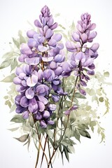 A clipart of a watercolor wisteria branch is available. (Illustration, Generative AI)