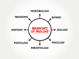 Branches of biology mind map text concept for presentations and reports