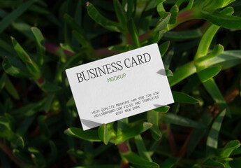 Business Card on Succulent Mockup