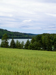 Field and Ostrzyckie Lake in a background. Nature of Wiezyca, Poland.