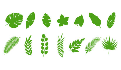 Collection of tropical leaves isolated on the white background.