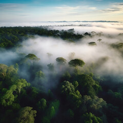 A mist above Amazonin rain forest