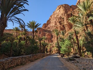 Fototapeta na wymiar Scenic oasis Ait Mansour in the Anti-Atlas mountains of Morocco