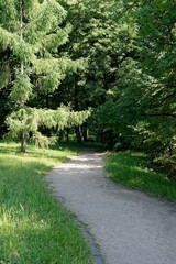 Droga w parku Stasica w Częstochowie 09 lipiec 2023