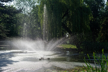 Fontanna w parku Stasica w Częstochowie - 09 lipiec 2023