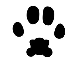 lynx paw transparent